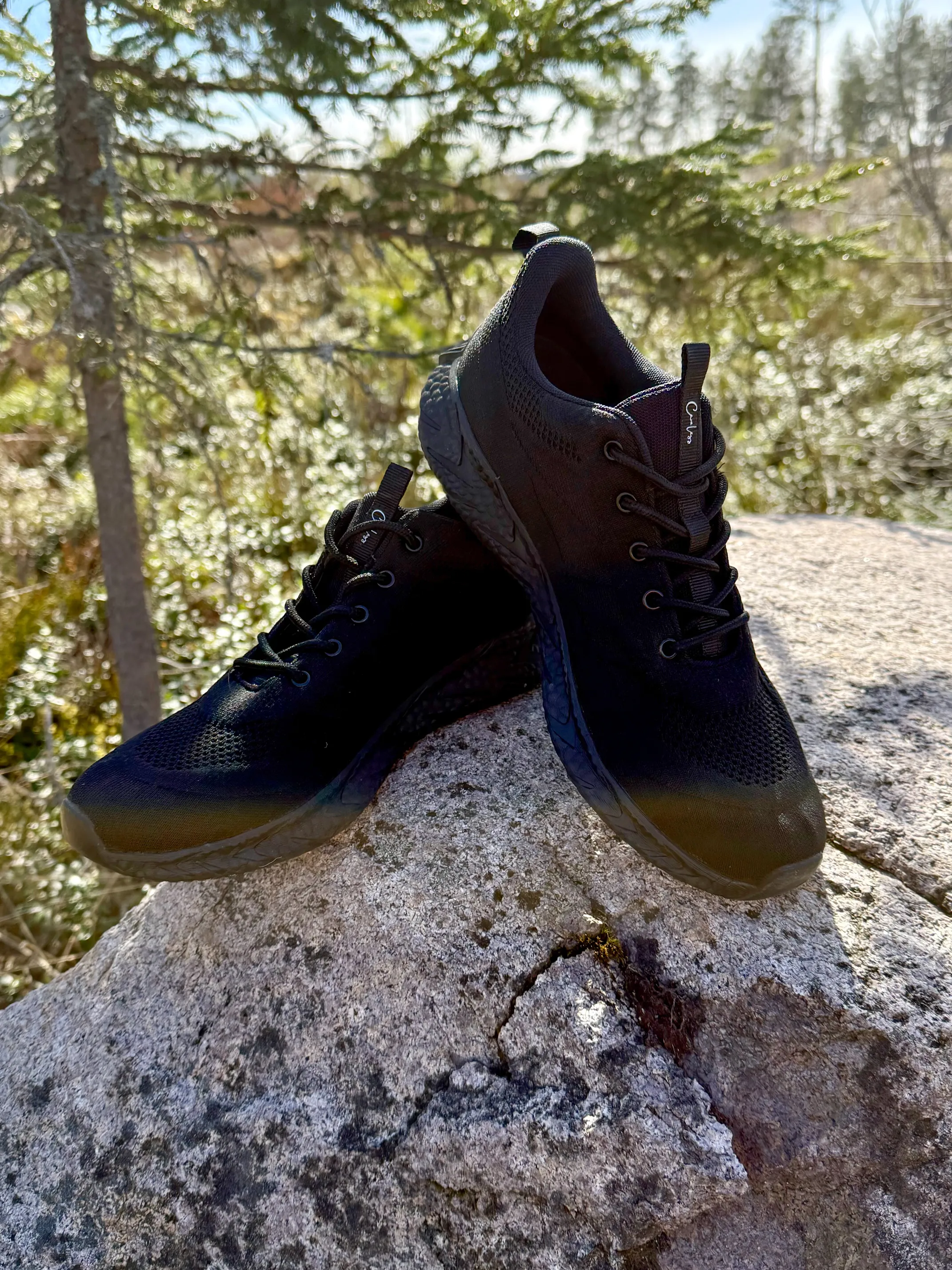 Reykjavik sneakers - Svart - Image 2